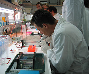  חוקרים במעבדה