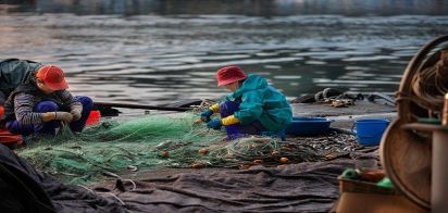 סכנה בים: שיטת הדיג שגורמת לפגיעה קשה לדגים ולאקלים