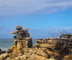 חופי צימה ופפואה – פארק פסלים גאולוגי